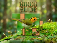Spil Birds Slide online