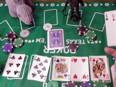 Spil Casual Poker Online online