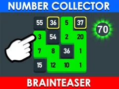 Spil Number Collector: Brainteaser online