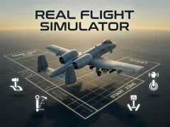 Spil Real Flight Simulator online