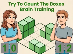 Spil Try To Count The Boxes Brain Training online