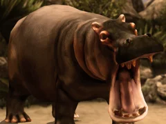 Spil Wild Hippopotamus Hunting online