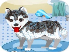 Spil My Cute Dog Bathing online