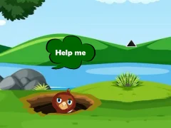 Spil Help Injured Bird Fallen Down online