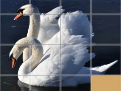 Spil Animals Slide Puzzle online