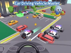 Spil Car Driving Vehicle Master online