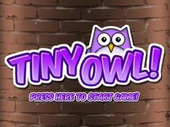 Spil Tiny Owl online