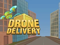 Spil Drone Delivery online