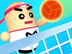 Spil 3D Amazing VolleyBall online