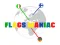 Spil Flags Maniac online