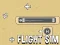 Spil Flight Sim online
