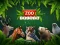 Spil ZOO Trivia online