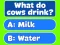 Spil Trivia! Best Family Quiz online