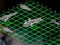 Spil Intergalactic Battleships online