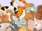 Spil Find The Kitty online