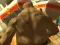 Spil Monster Simulator online