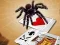 Spil Jumping Spider online