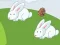 Spil Crazy Eggs online