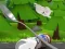 Spil Monte's Zott: Flight on a spoon online