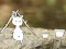 Spil Our Little Island online