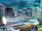 Spil The Mysterious Creatures online
