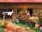 Spil Horse Ranch online