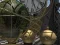 Spil Planetarium online