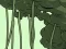 Spil Abandoned the Forest online