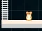 Spil Hamster Grid Even Odd online