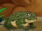 Spil Frogs Matching online