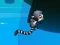 Spil Jungle Jump online