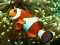 Spil Underwater Hidden Numbers online