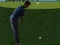 Spil Flash Golf 3D online