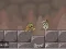 Spil Roly-Poly Eliminator 2 online