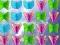 Spil Butterfly Collector online