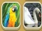 Spil Match Zoo online
