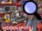 Spil Hidden Spots In The Room online