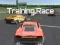 Spil Training Race online