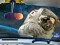 Spil Space Find The Differences online