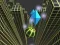 Spil Marble Rolling Stunt online