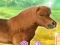 Spil My Dear Pony online