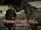Spil Forgotten Hill Memento: Run Run little Horse online
