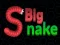 Spil Big Snake.io online