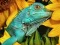 Spil Ultimate Puzzles Animals 6 online