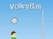 Spil VolleyBall online