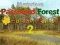 Spil Mysterious Password Forest Autumn Edition 2 online