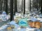 Spil Winter Wonderland Forest Adventure online