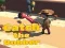 Spil Catsh the robber online