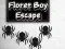 Spil Floret Boy Escape online