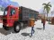 Spil Asian offroad cargo truck driver online